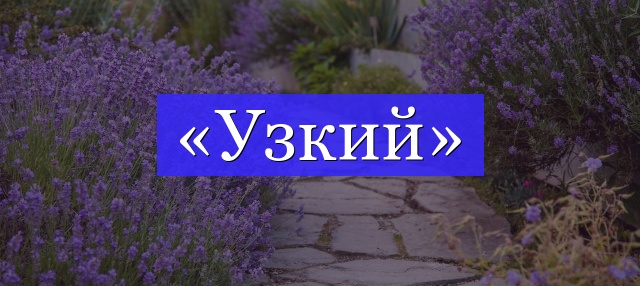 Корень слова «узкий»