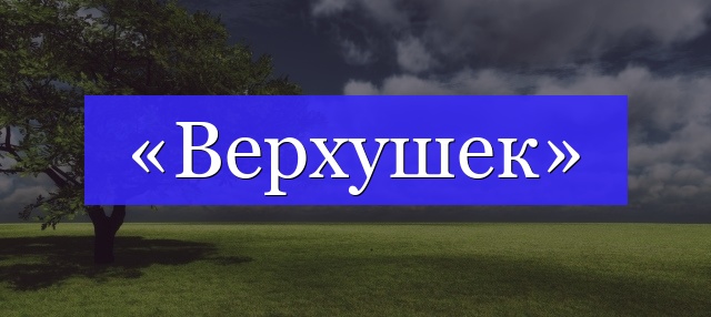 Корень слова «верхушек»