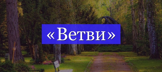 Корень слова «ветви»