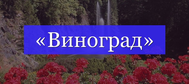 Корень слова «виноград»