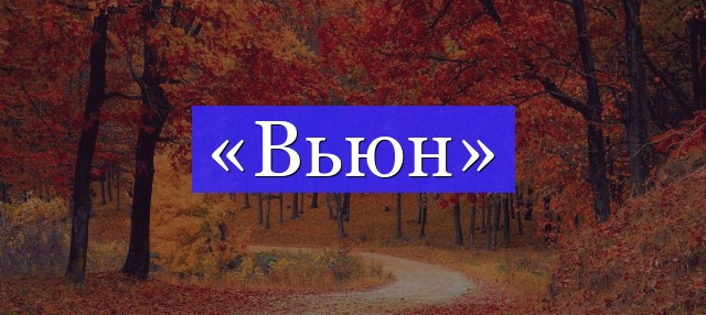 Корень слова «вьюн»