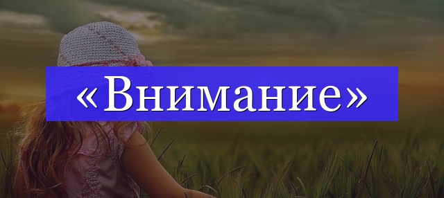 Корень слова «внимание»