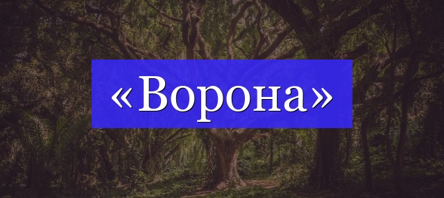 Корень слова «ворона»