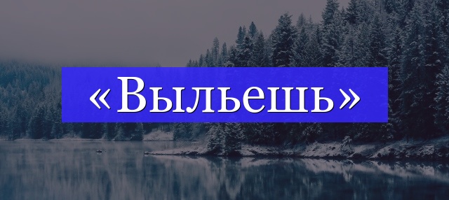 Корень слова «выльешь»