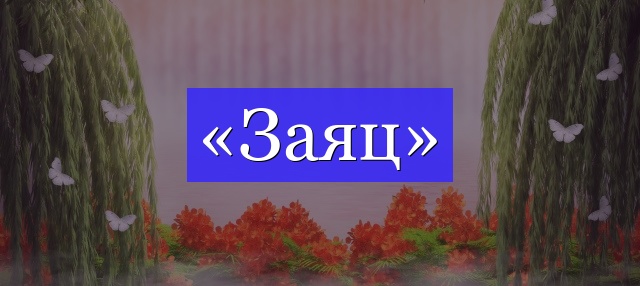 Корень слова «заяц»