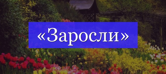 Корень слова «заросли»