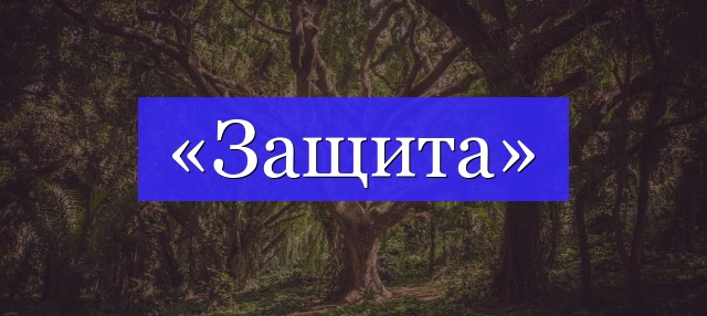 Корень слова «защита»