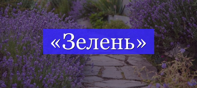 Корень слова «зелень»