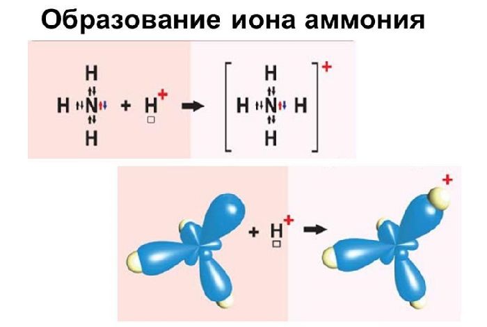 Ковалентная химическая связь