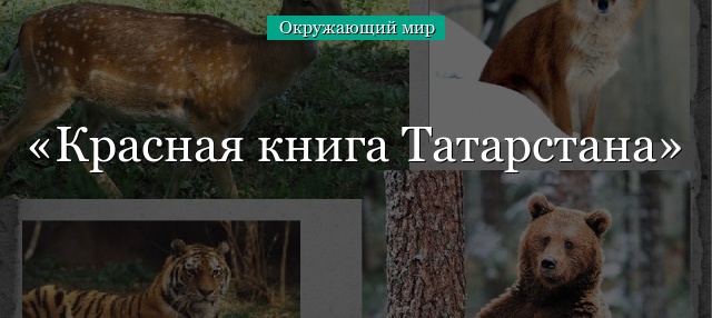 Красная книга Татарстана