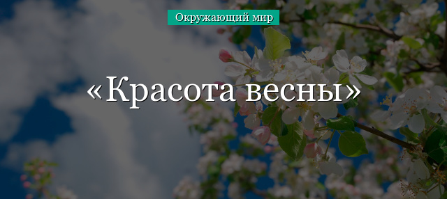 Красота весны