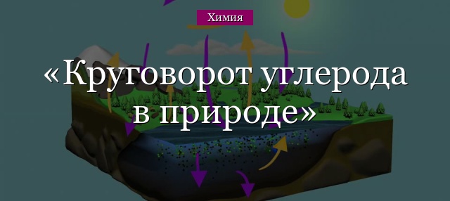 Круговорот углерода в природе