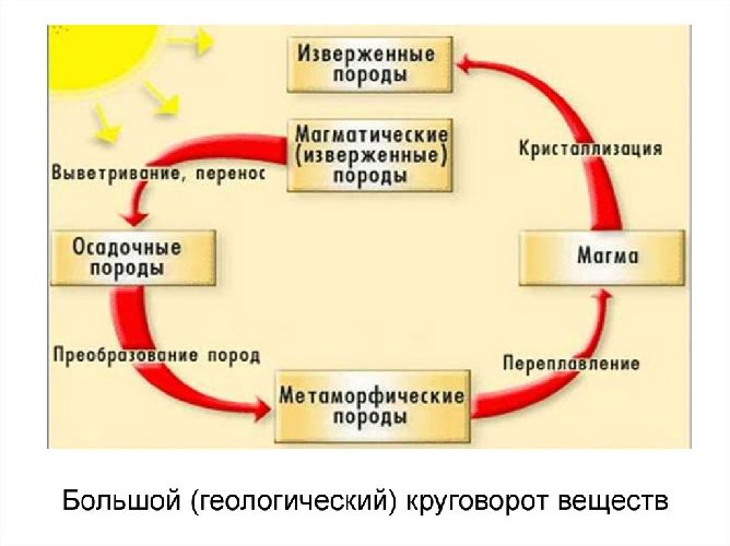 Круговорот веществ в биосфере