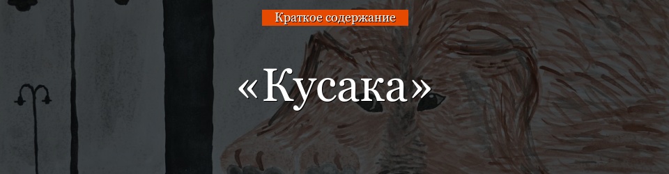 «Кусака» очень краткое содержание