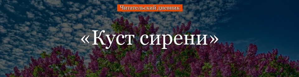 «Куст сирени» читательский дневник