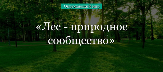 Лес – природное сообщество