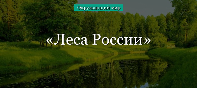 Леса России