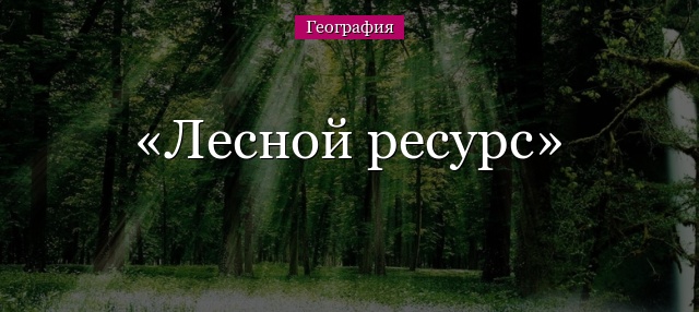 Лесной ресурс