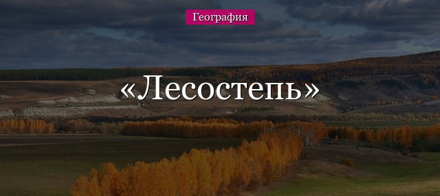 Лесостепь