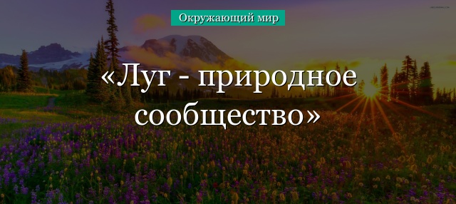 Луг – природное сообщество