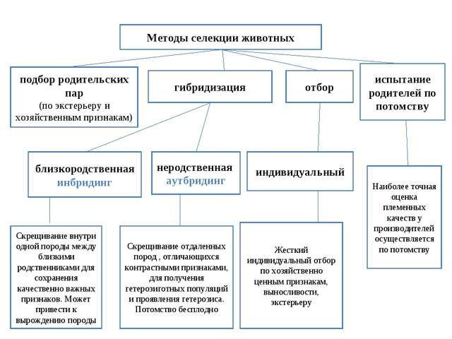 Методы селекции животных