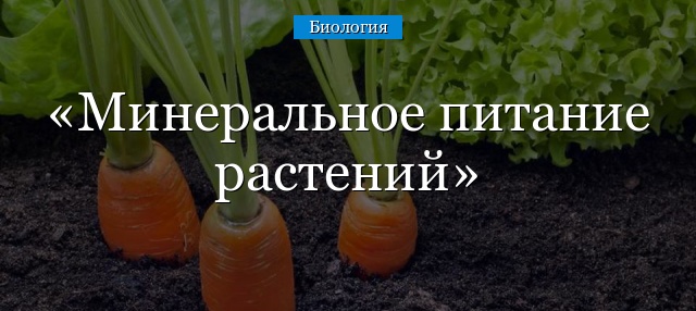 Минеральное питание растений