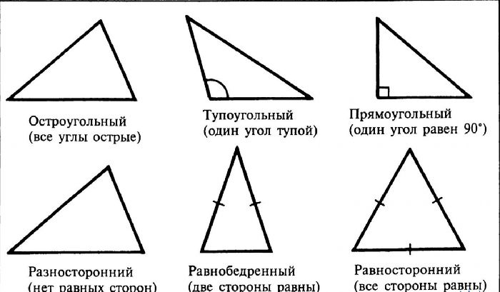 Многоугольник