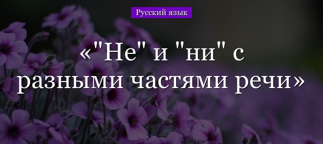 “Не” и “ни” с разными частями речи