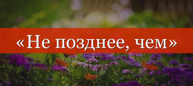 «Не позднее, чем» нужна ли запятая?