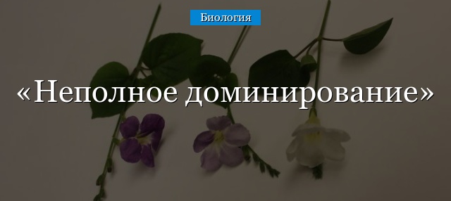 Неполное доминирование