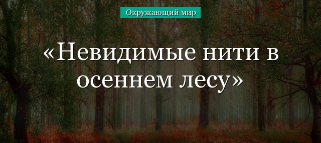 Невидимые нити в осеннем лесу