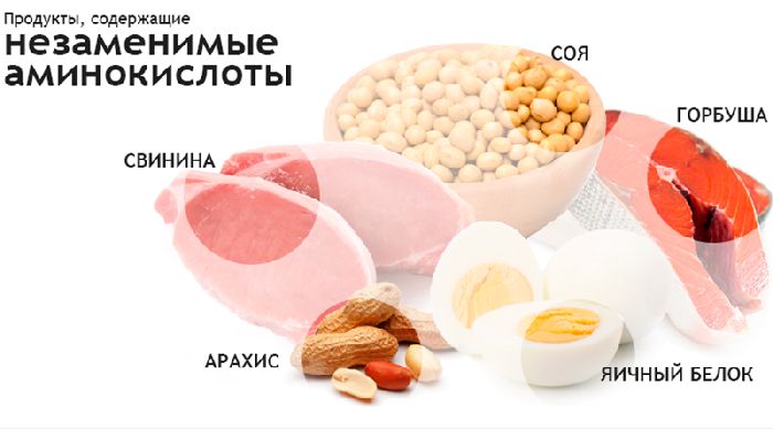 Незаменимые аминокислоты