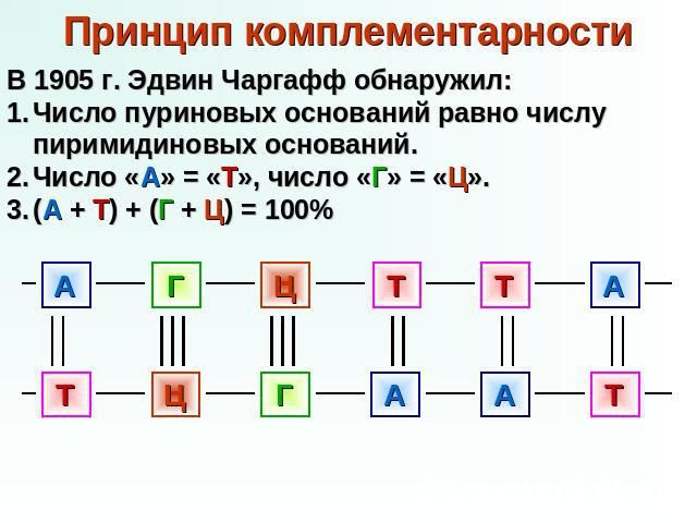 Нуклеиновые кислоты