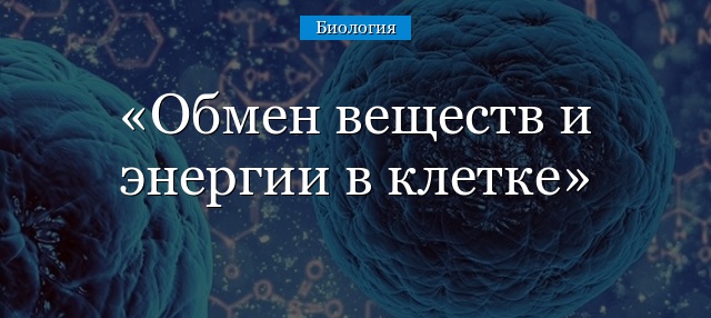 Обмен веществ и энергии в клетке