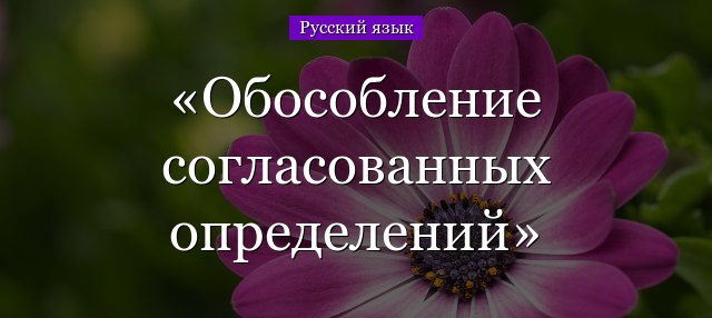 Обособление согласованных определений