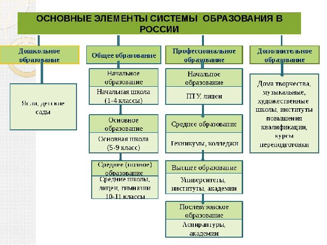 Образование