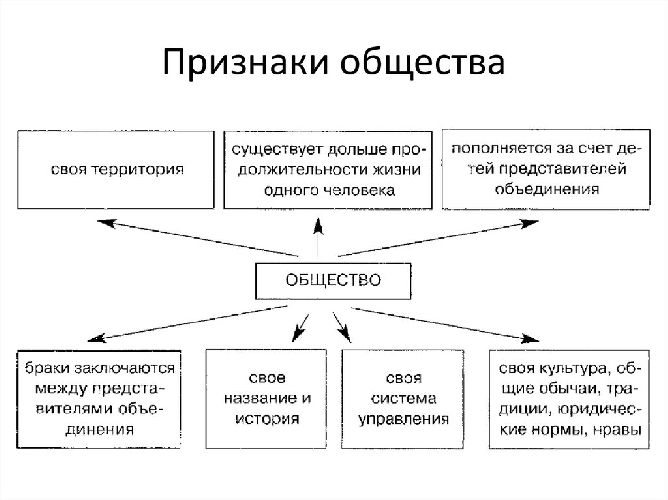 Общество