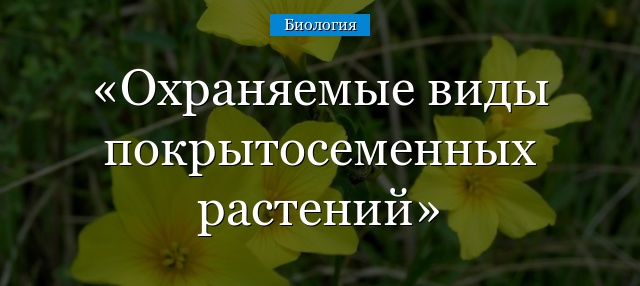 Охраняемые виды покрытосеменных растений