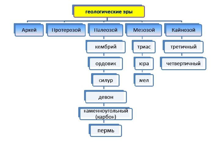 Основные этапы развития жизни на Земле