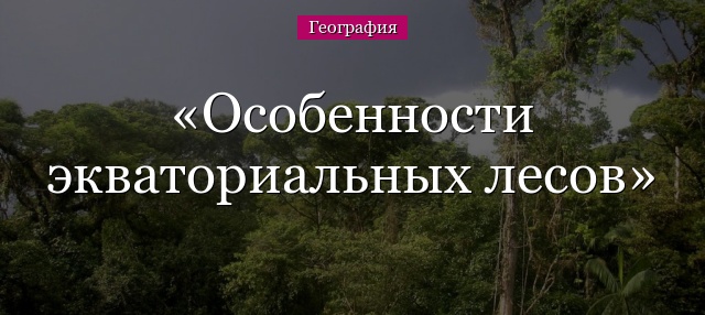 Особенности экваториальных лесов