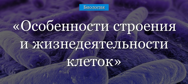 Особенности строения и жизнедеятельности клеток