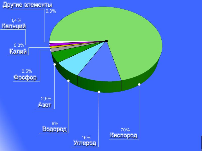 Особенности строения и жизнедеятельности клеток