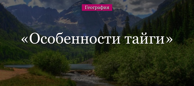 Особенности тайги