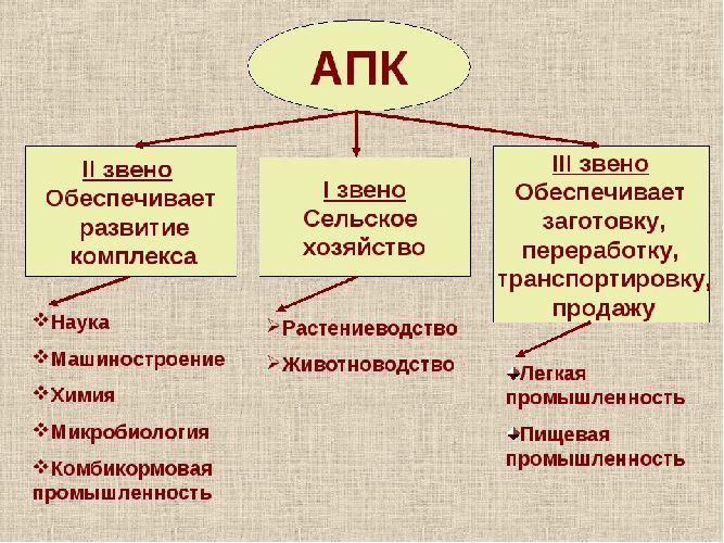 Первое звено АПК