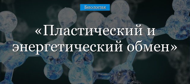 Пластический и энергетический обмен