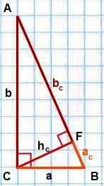 Площадь прямоугольного треугольника