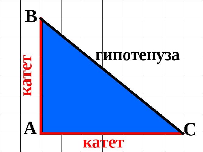 Площадь прямоугольного треугольника