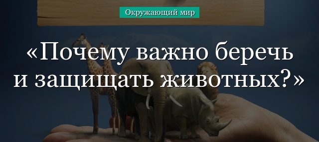 Почему важно беречь и защищать животных?