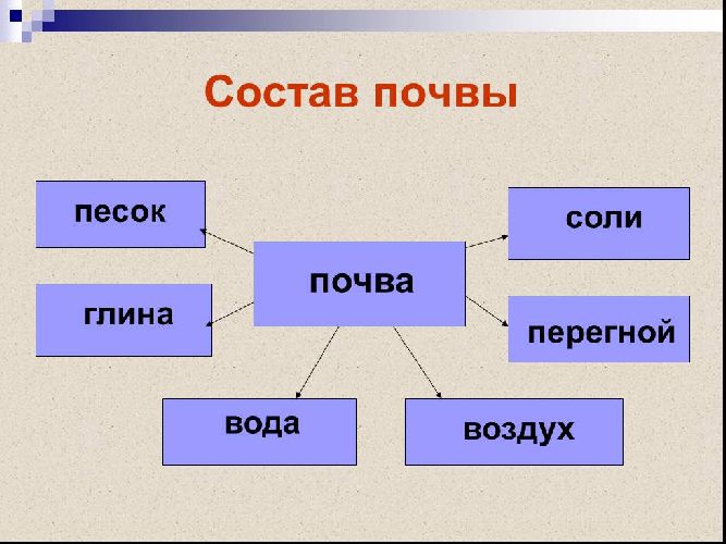 Почвы арктических пустынь