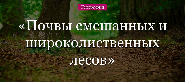 Почвы смешанных и широколиственных лесов